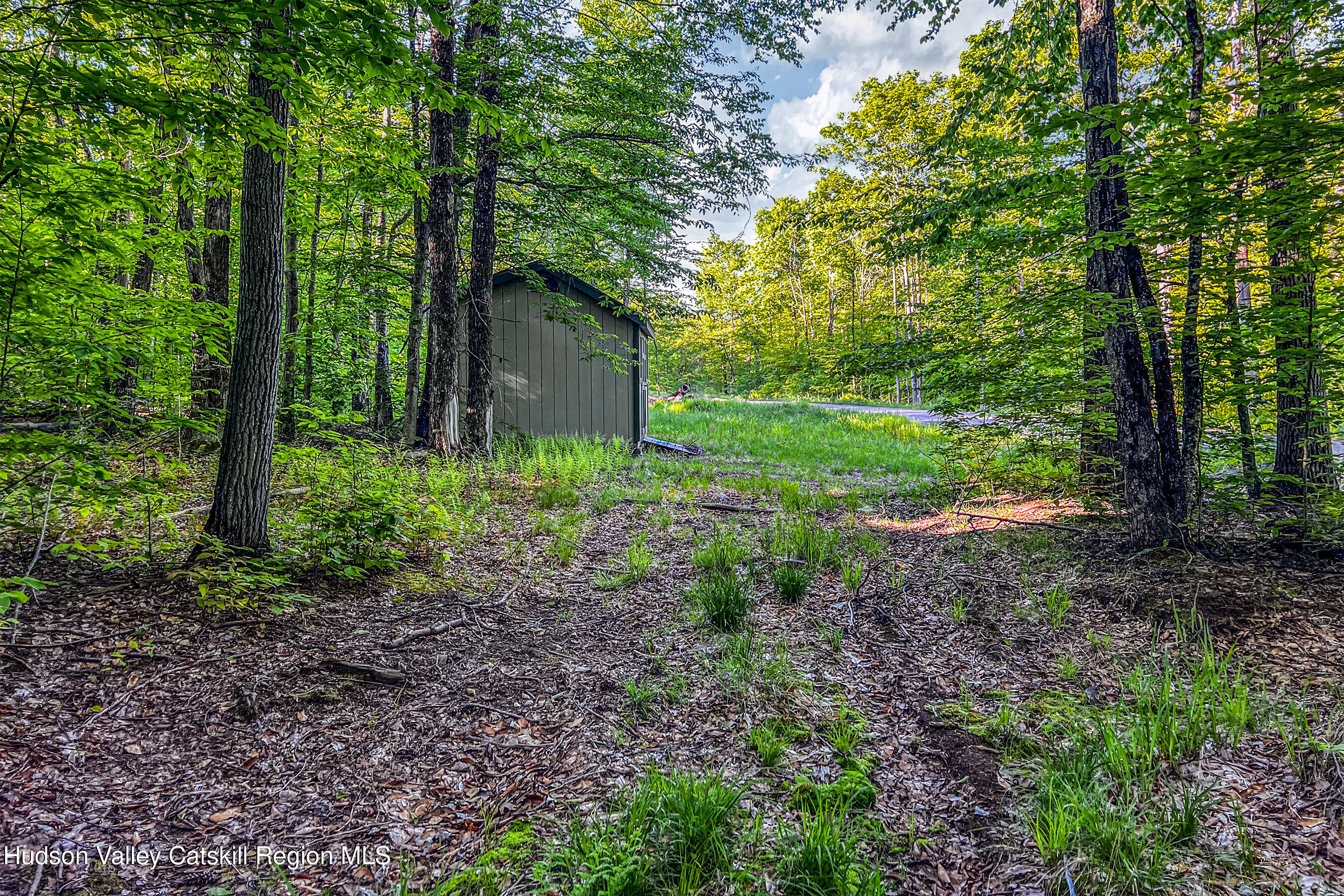 0 Frank Slawson Road Oneonta, NY 13820 - Photo 29 of 29 IMG_3459-Edit-Edit
