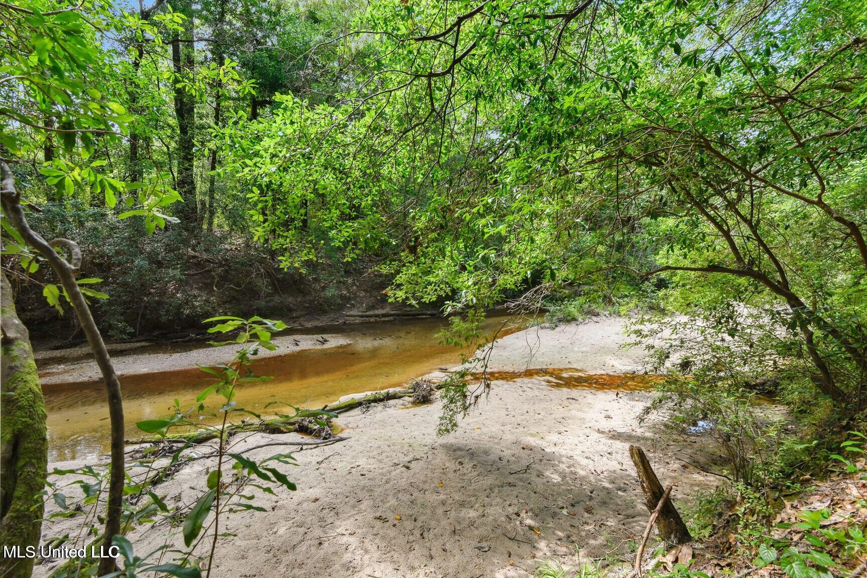 19639 Laterre Drive Kiln, MS 39556 - Photo 4 of 23 Creek