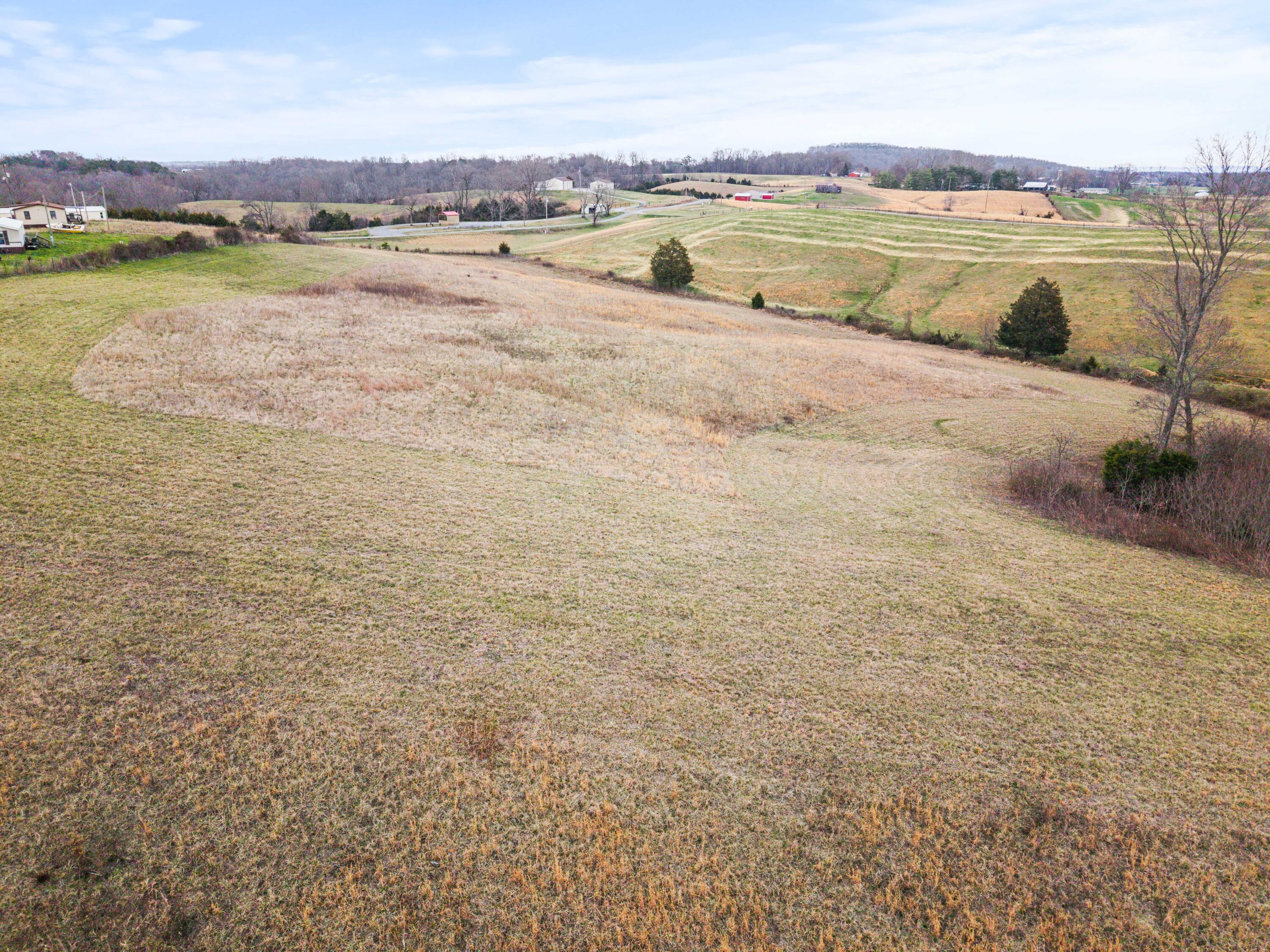Ben Roy Field Photo-09