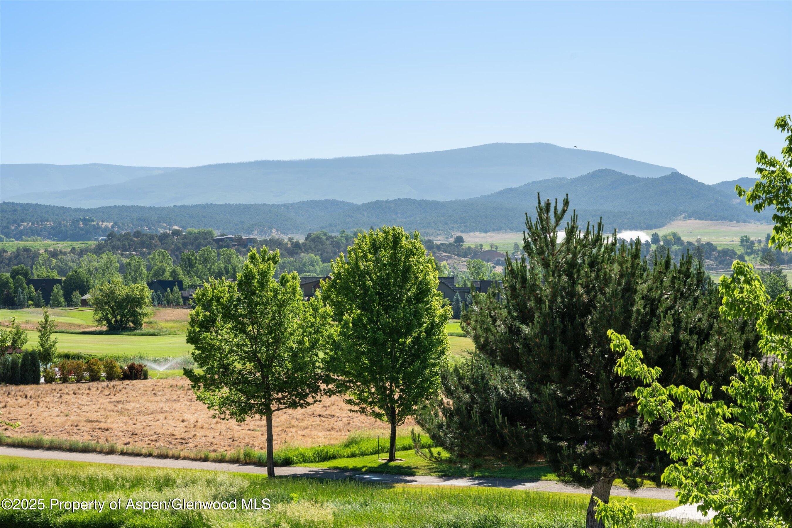 769 Perry Ridge Carbondale, CO 81623 - Photo 7 of 36 a view of a lush green hillside and a building