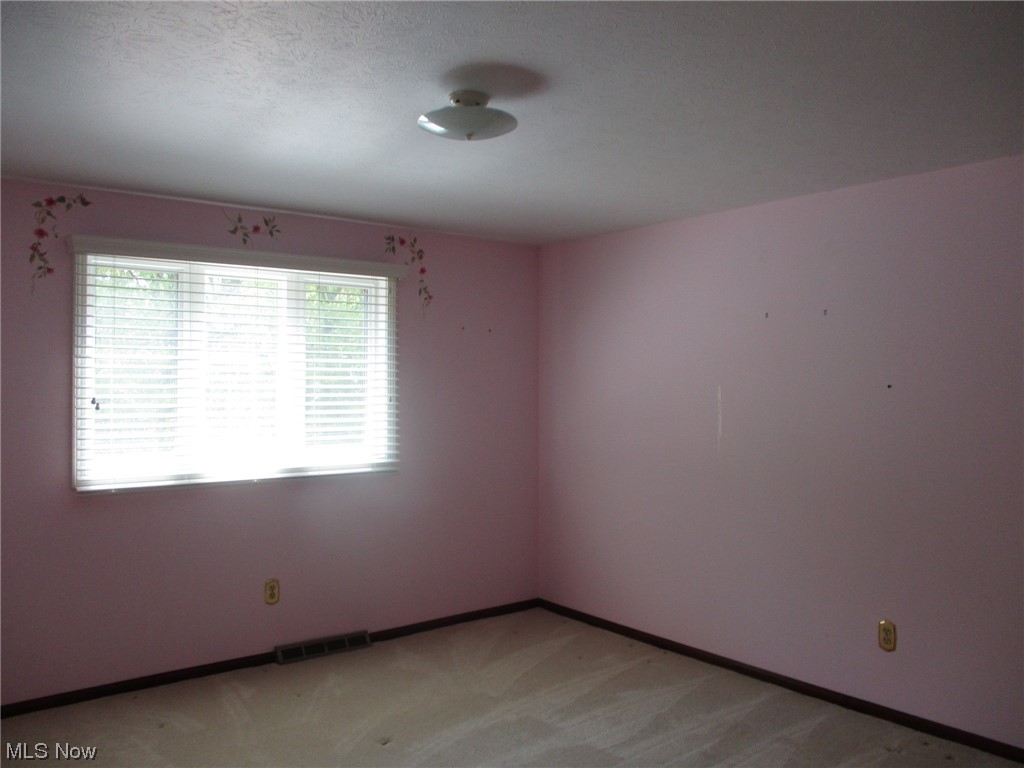 37466 Hunters Ridge Solon, OH 44139 - Photo 24 of 35 Gallery Image 24