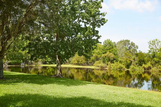 a view of a yard with a tree
