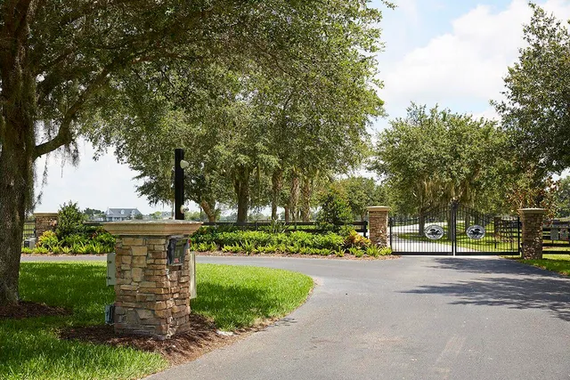 a view of a park with large trees
