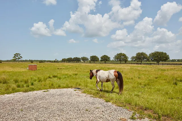 a view of a lake with lawn chairs and large trees