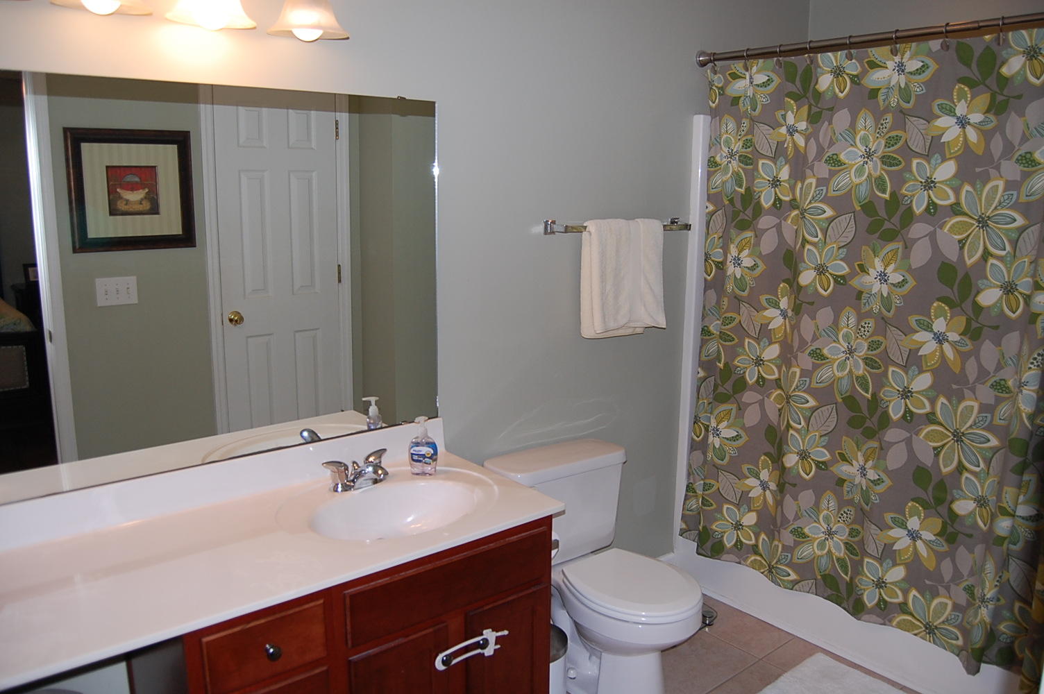 1178 Deerberry Road Hanahan, SC 29410 - Photo 12 of 14 Bathroom