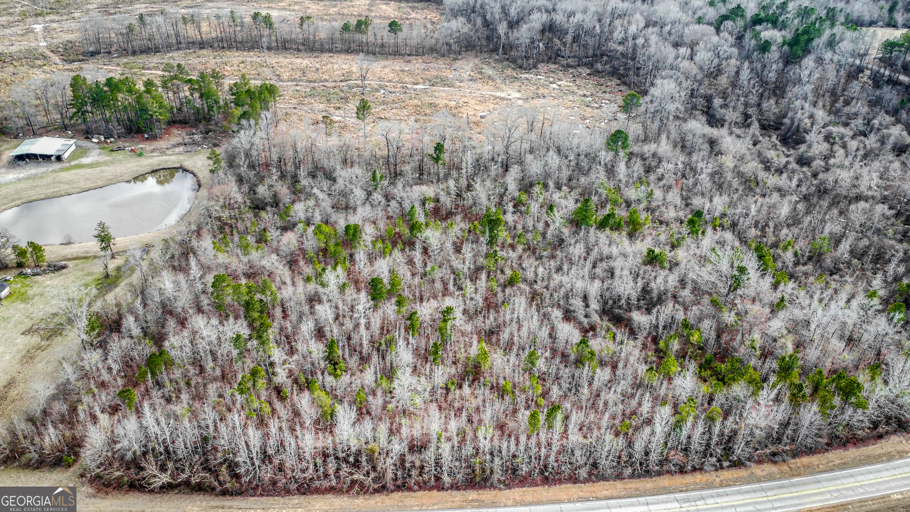 538 Highway 80 Juliette, GA 31046 - Photo 3 of 7