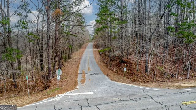 a view of a pathway with a wrought fence