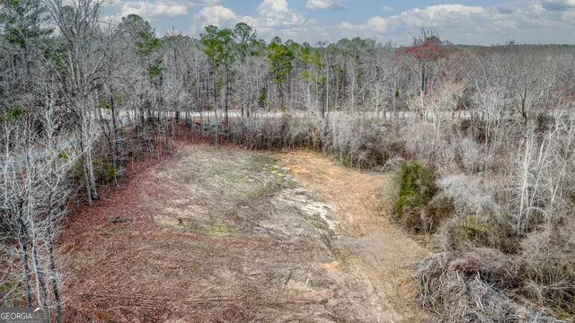a view of a yard with trees