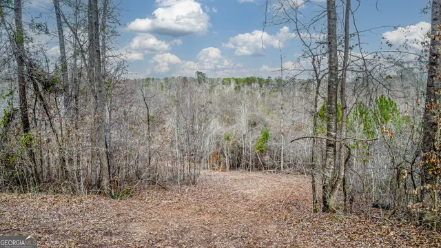 a view of a pathway both side of a yard