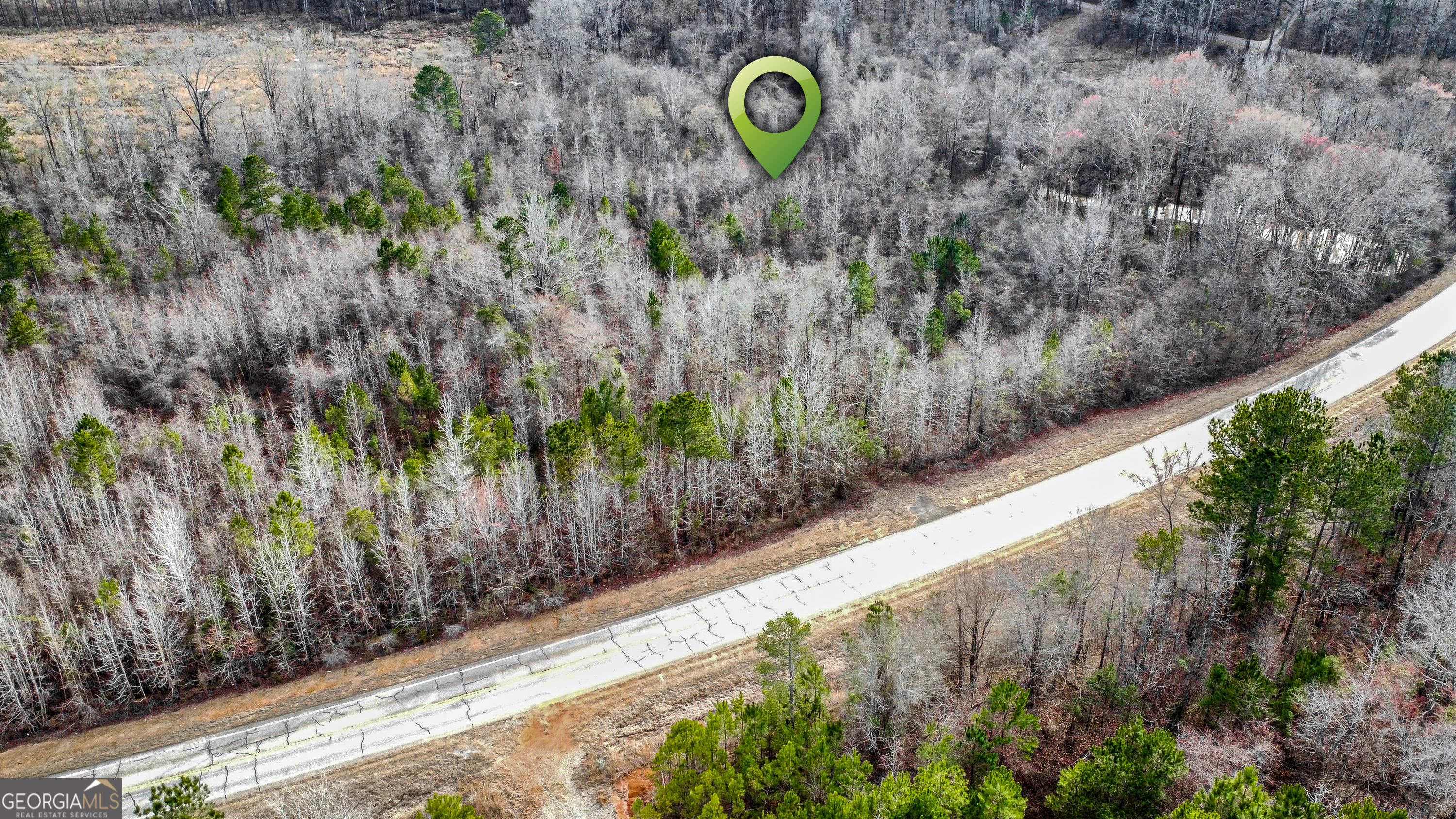 538 Highway 80 Juliette, GA 31046 - Photo 7 of 7