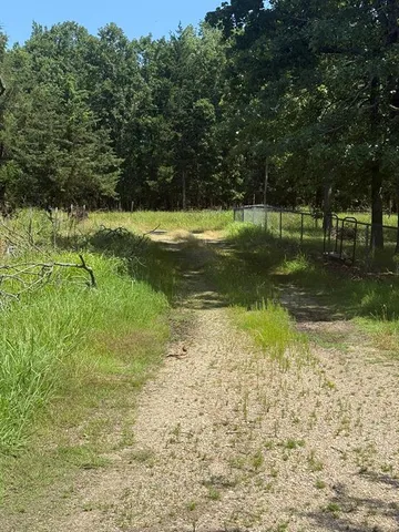 a view of a tree in a yard
