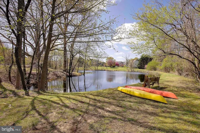 a view of a lake with a large trees