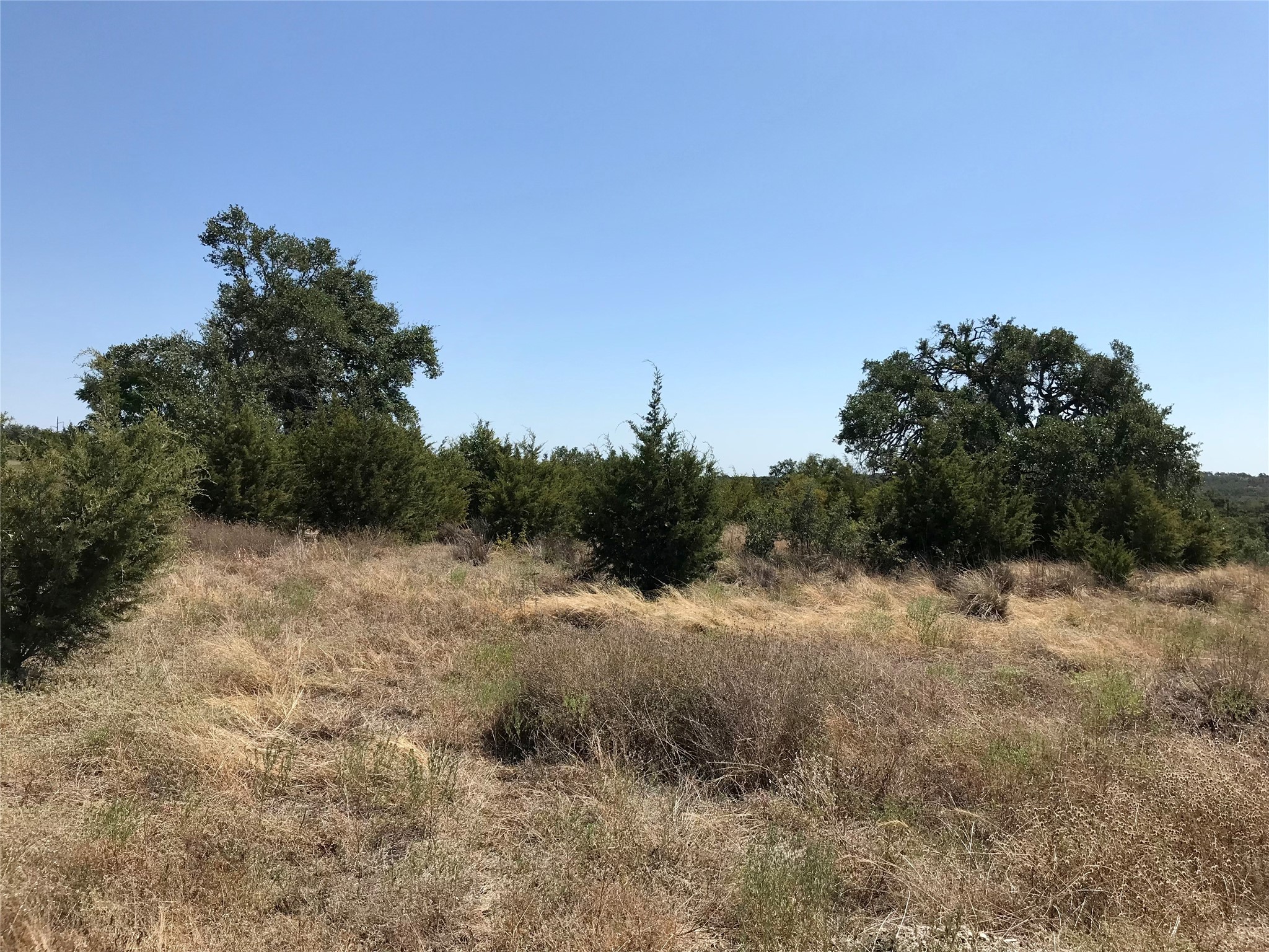 970 B Rr 32 San Marcos, TX 78666 - Photo 22 of 30 There are some nice Oaks on the property.