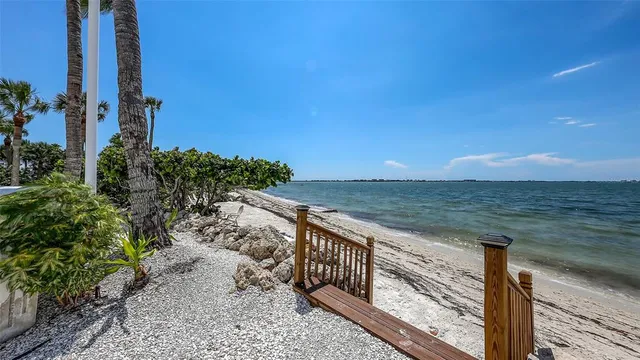 a view of a backyard with table and chairs potted plants and palm tree