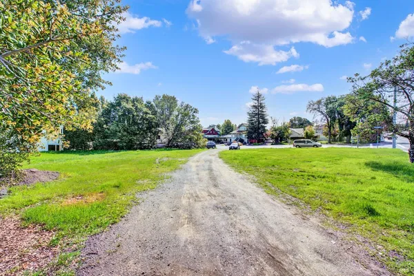 a view of a garden with a pathway