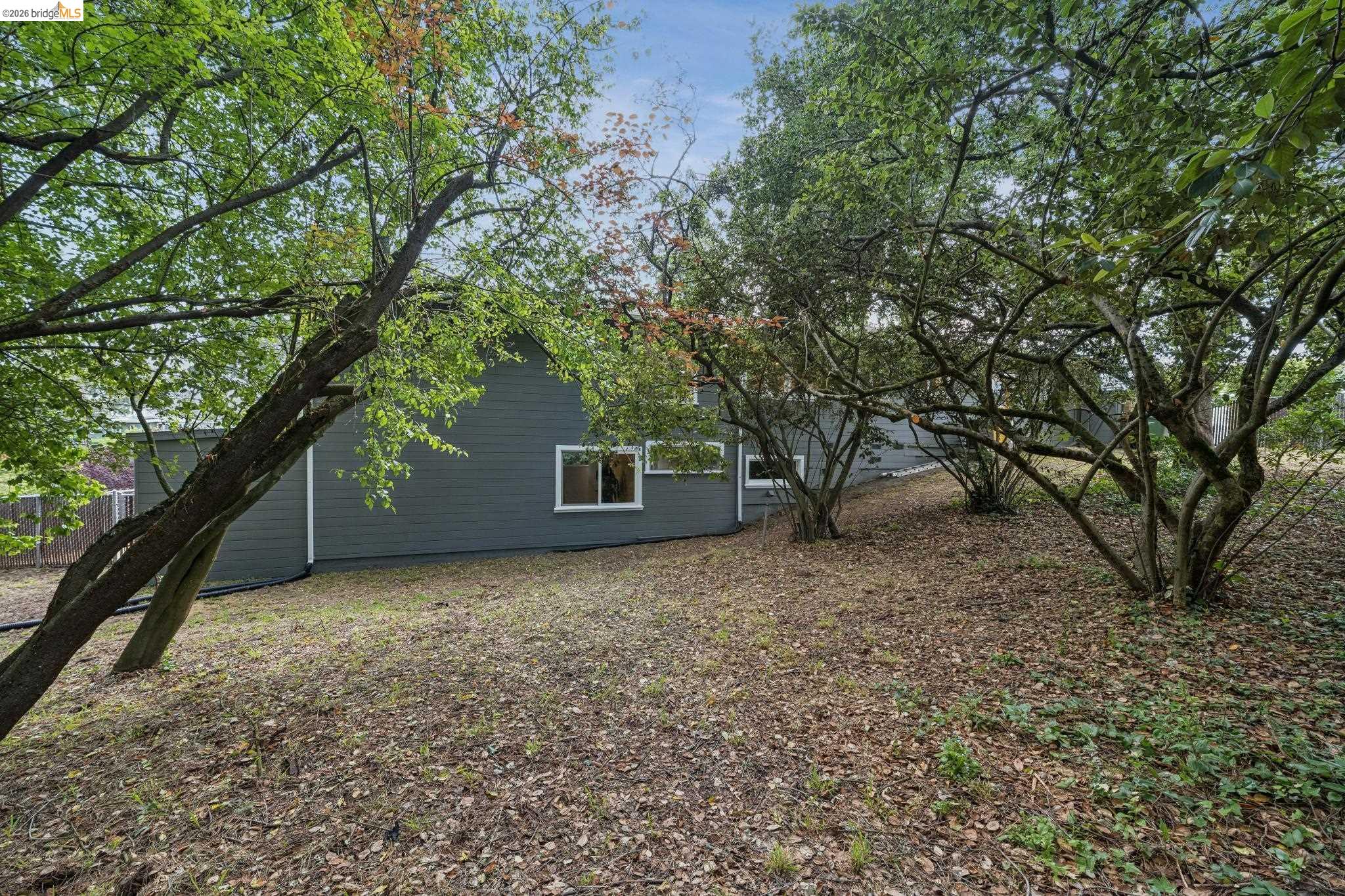 Summit Road Berkeley, CA 94708 - Photo 7 of 13