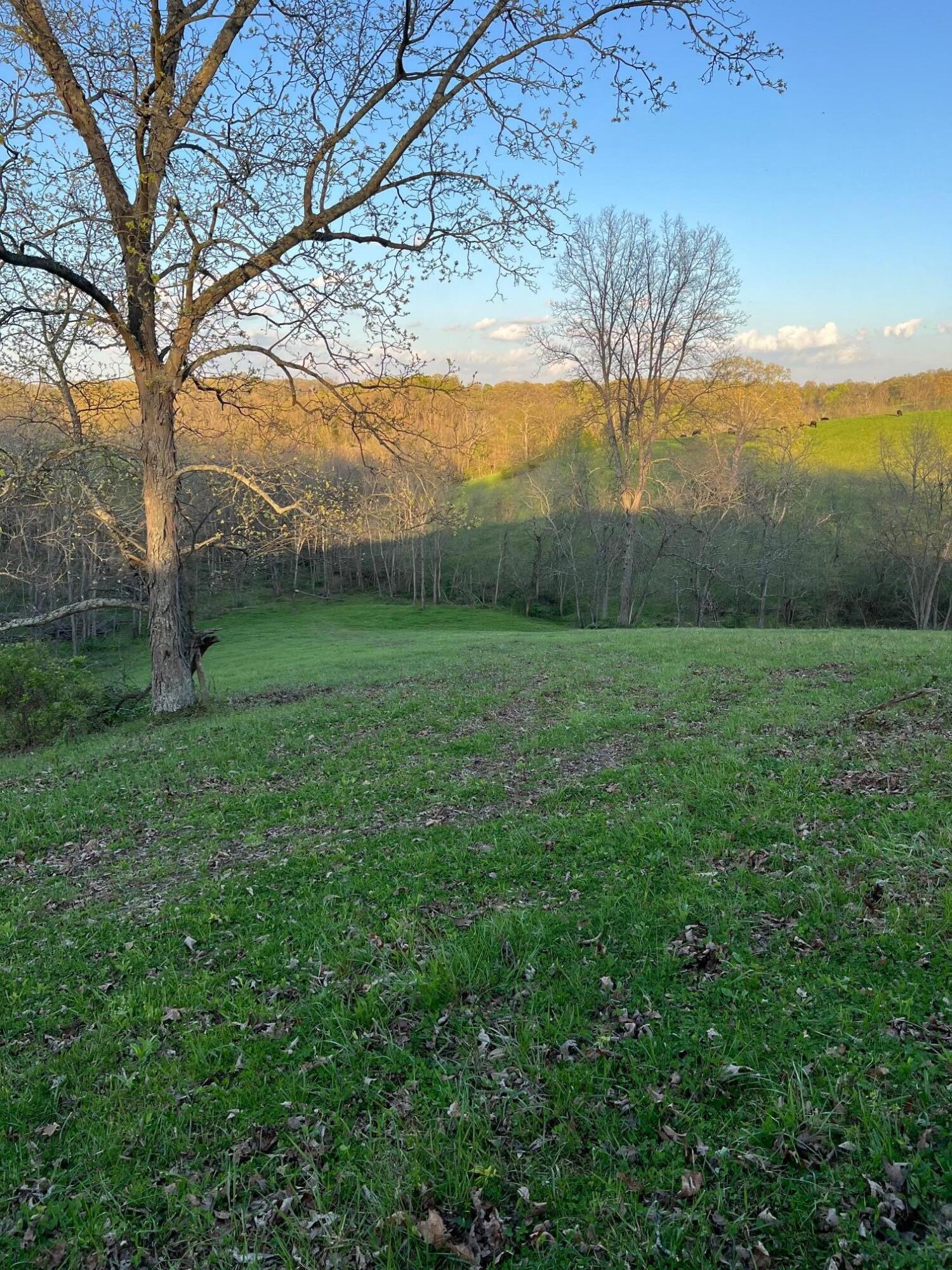 1822 Locust Fork Road Stamping Ground, KY 40379 - Photo 46 of 56 IMG_5986