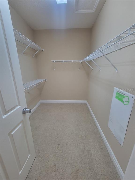 10418 Fenceline Road New Port Richey, FL 34655 - Photo 25 of 36 a view of an empty walk in closet