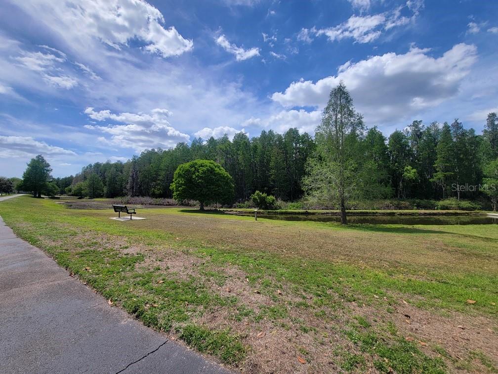10418 Fenceline Road New Port Richey, FL 34655 - Photo 3 of 36 a view of a garden