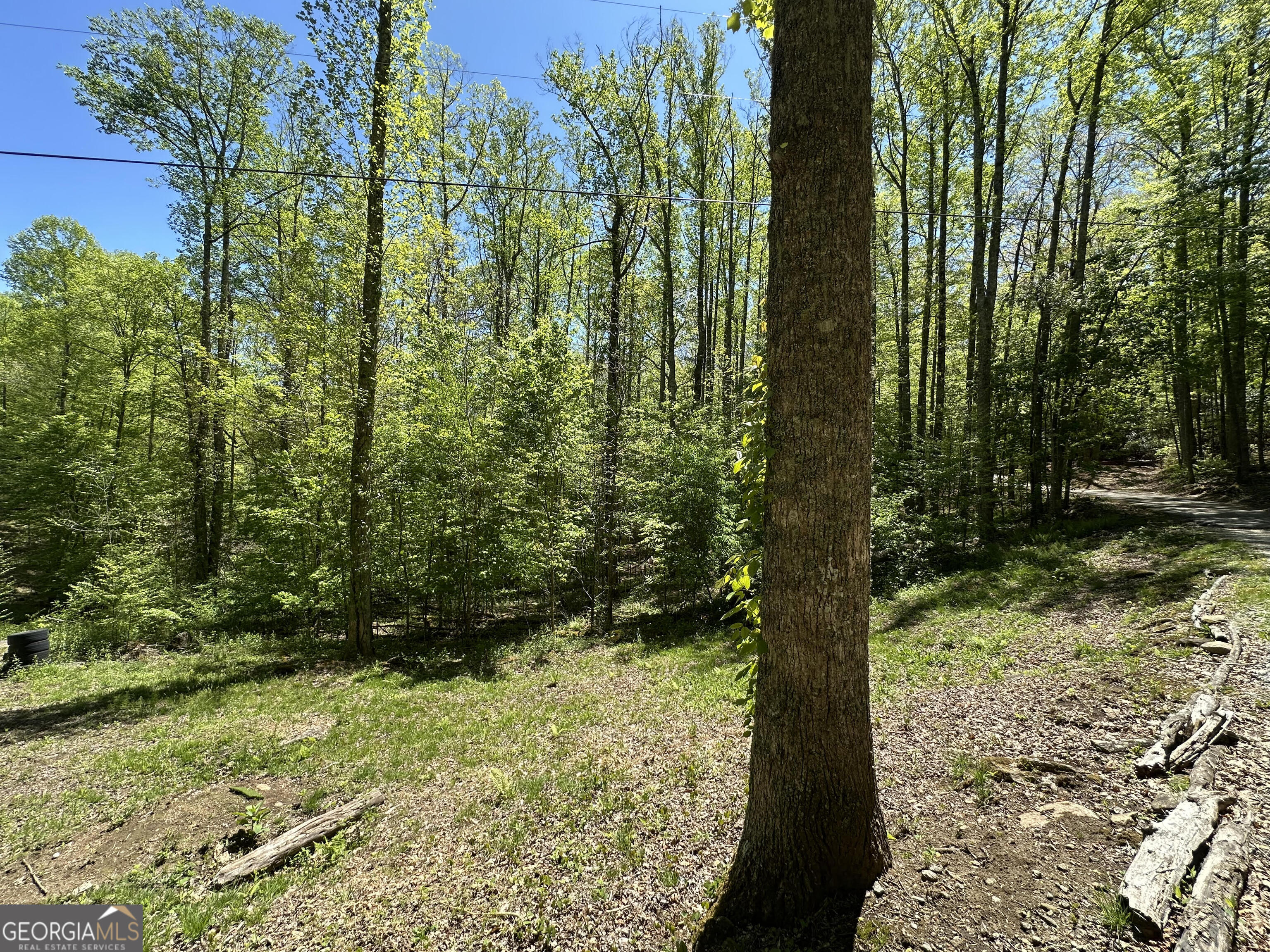 0 Buck Knob Road Scaly Mountain, NC 28775 - Photo 11 of 14 a view of outdoor space and trees