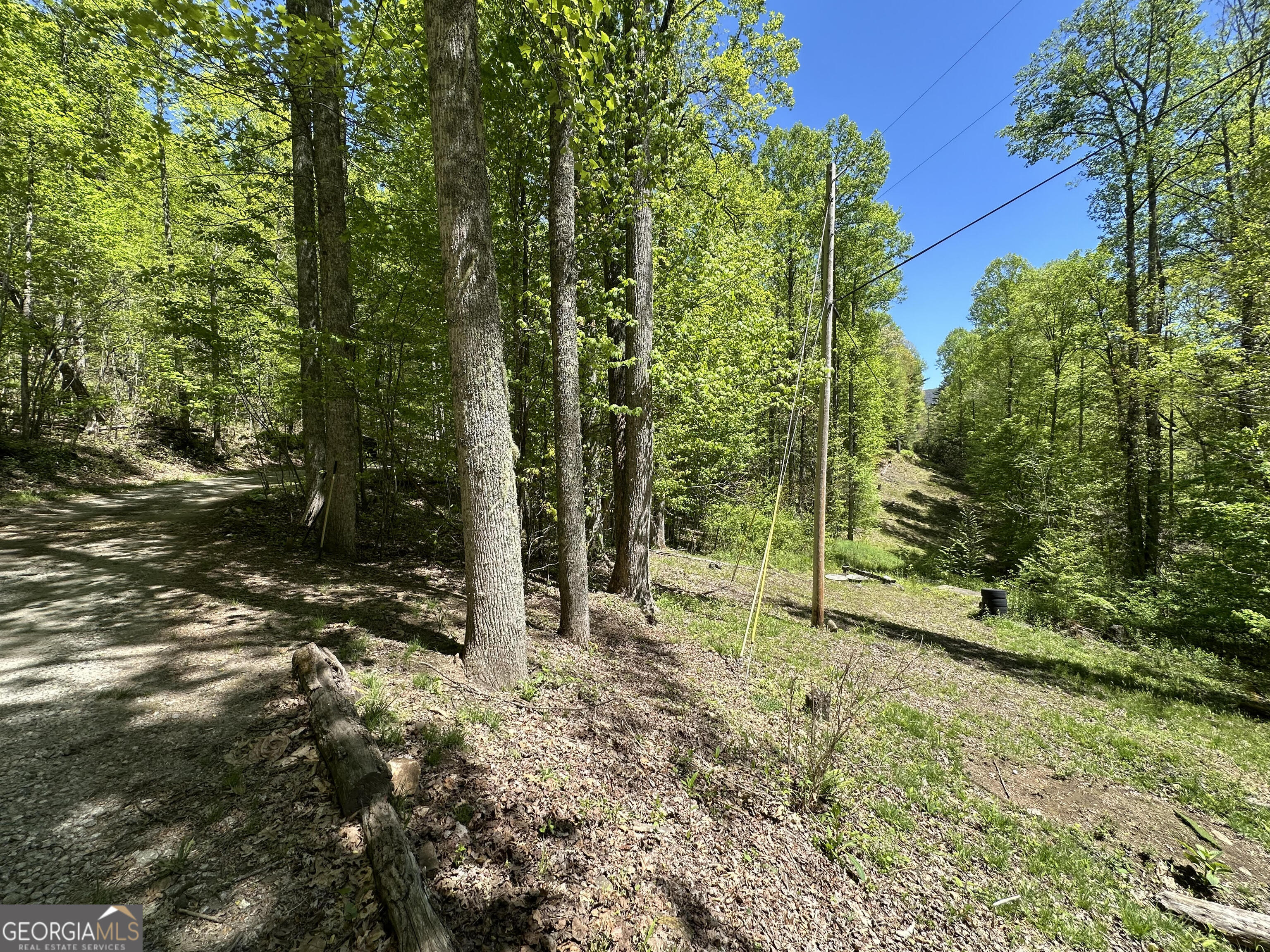 0 Buck Knob Road Scaly Mountain, NC 28775 - Photo 2 of 14 a view of an outdoor space and trees all around