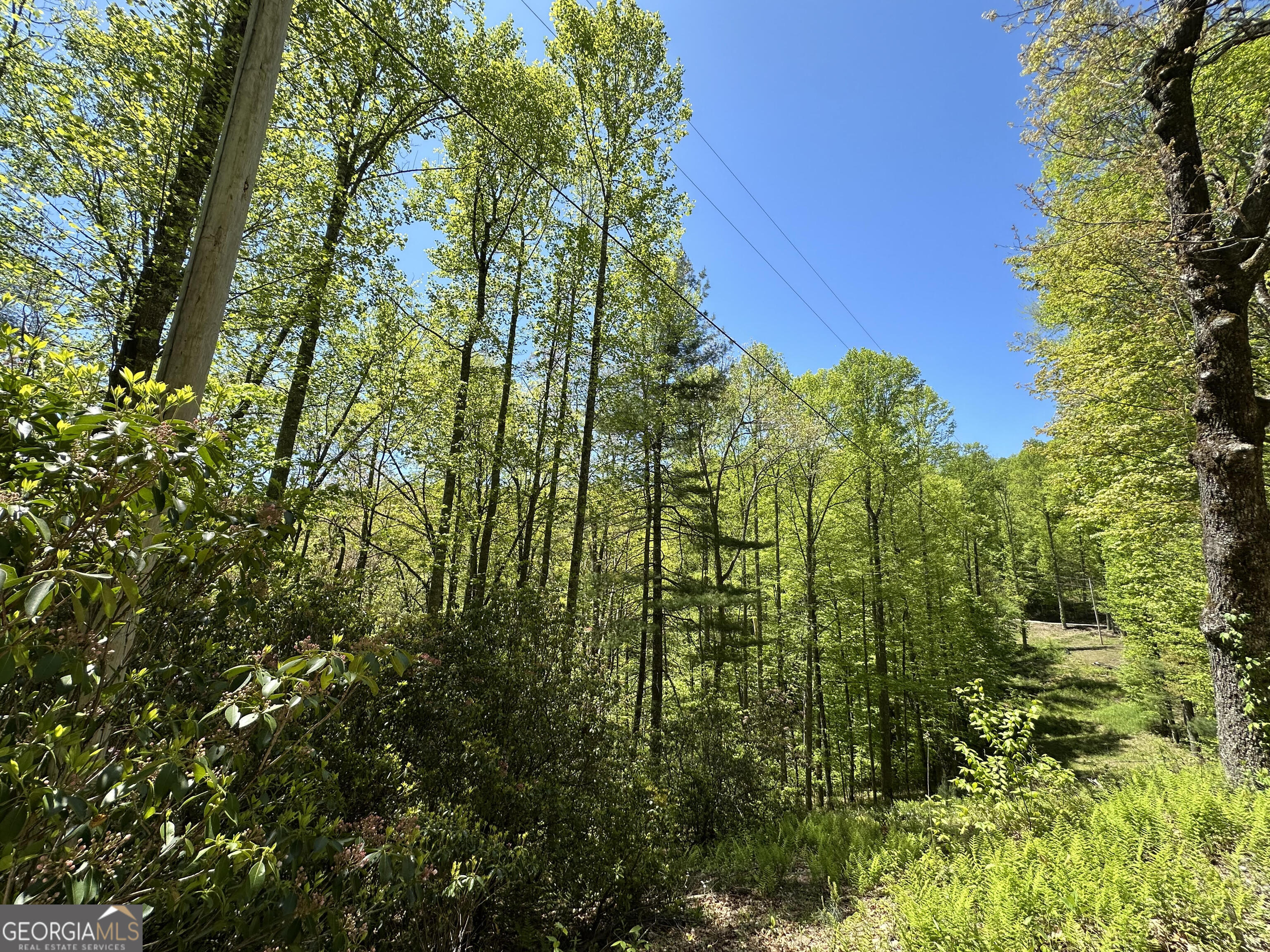 0 Buck Knob Road Scaly Mountain, NC 28775 - Photo 3 of 14 a view of an outdoor space and a yard