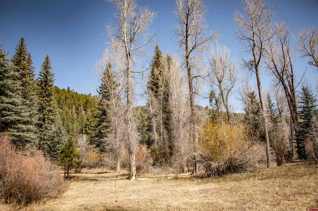 $2,299,000 | 85-a Usfs Road 660, Unit A, Chromo, CO 81128