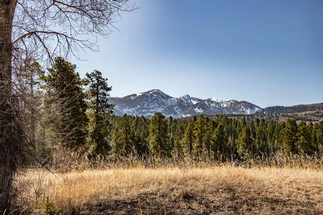 $2,299,000 | 85-a Usfs Road 660, Unit A, Chromo, CO 81128
