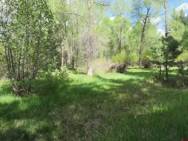 $2,299,000 | 85-a Usfs Road 660, Unit A, Chromo, CO 81128