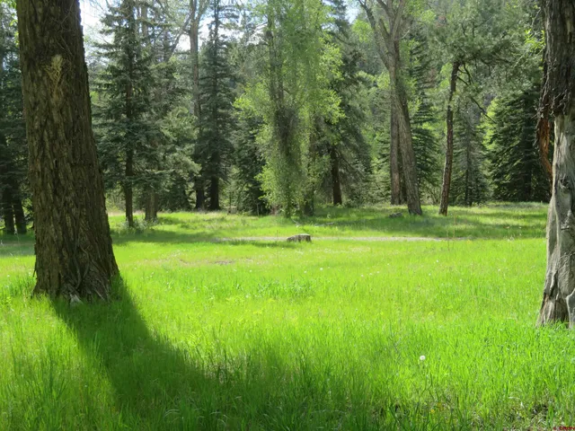 $2,299,000 | 85-a Usfs Road 660, Unit A, Chromo, CO 81128