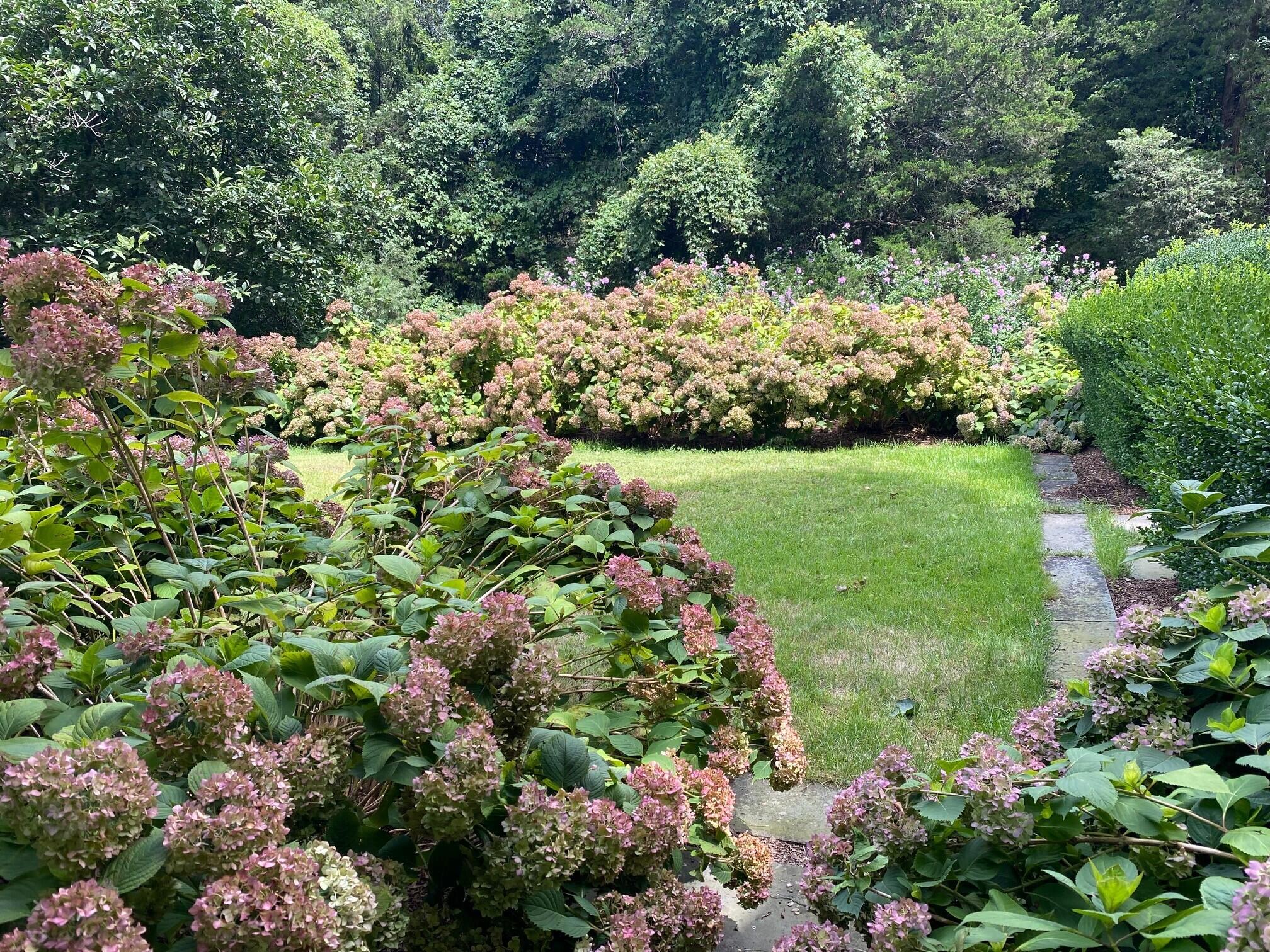 114 Ferris Hill Road New Canaan, CT 06840 - Photo 9 of 58 a view of a garden with plants and large trees