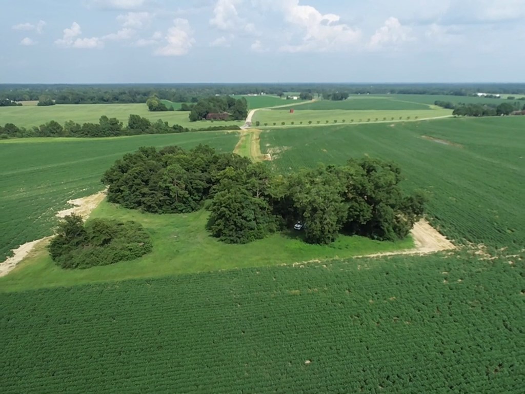 132.3-ac Green Road Dothan, AL 36303 - Photo 39 of 63