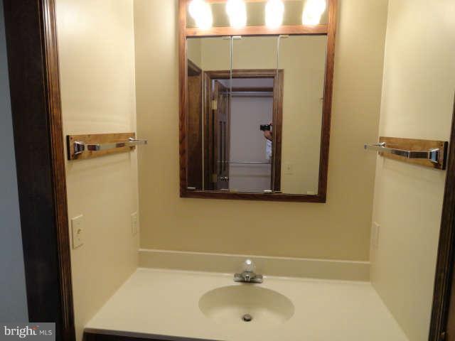 7141 Poole Jones Road Frederick, MD 21702 - Photo 13 of 22 Bath (Master)