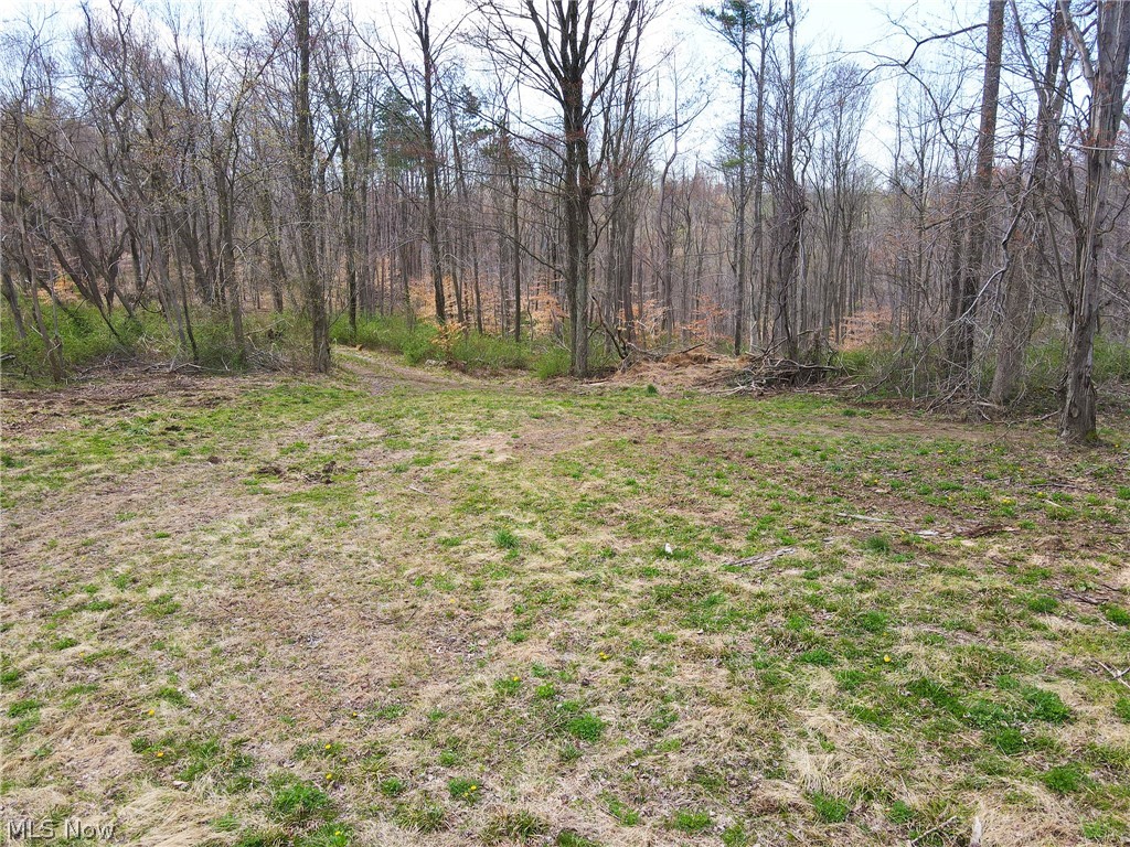 87800 Dewell Road Scio, OH 43988 - Photo 15 of 28 Gallery Image 15