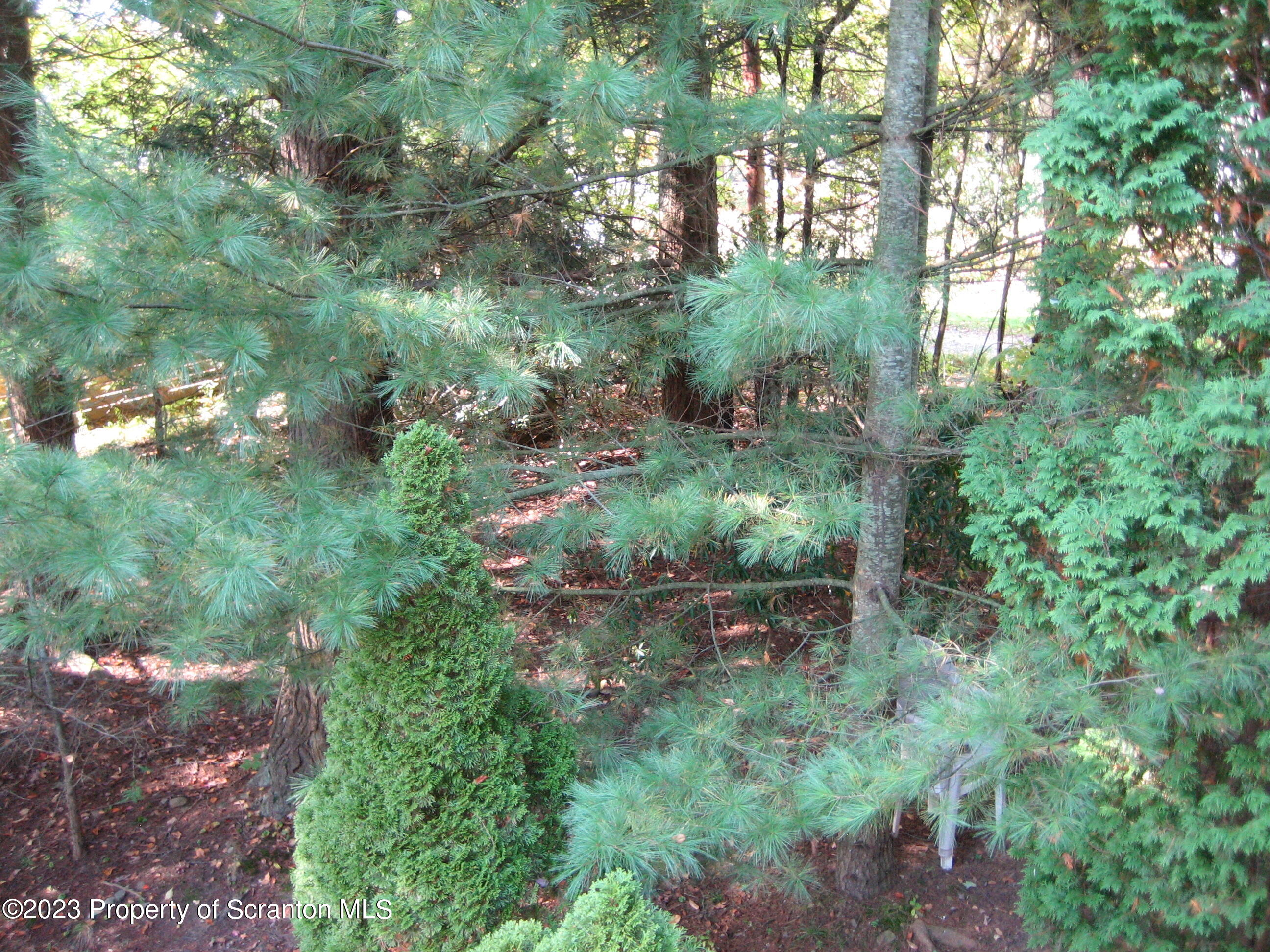 230 Lake Road Susquehanna, PA 18847 - Photo 44 of 69 Gallery Image 44