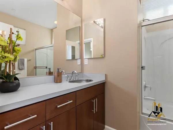 a bathroom with a sink a mirror and a potted plant
