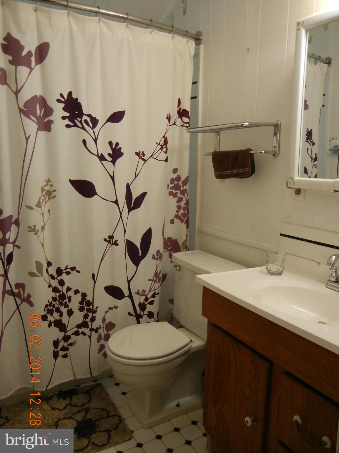 1648 Mussula Road Baltimore, MD 21286 - Photo 14 of 27 Bath