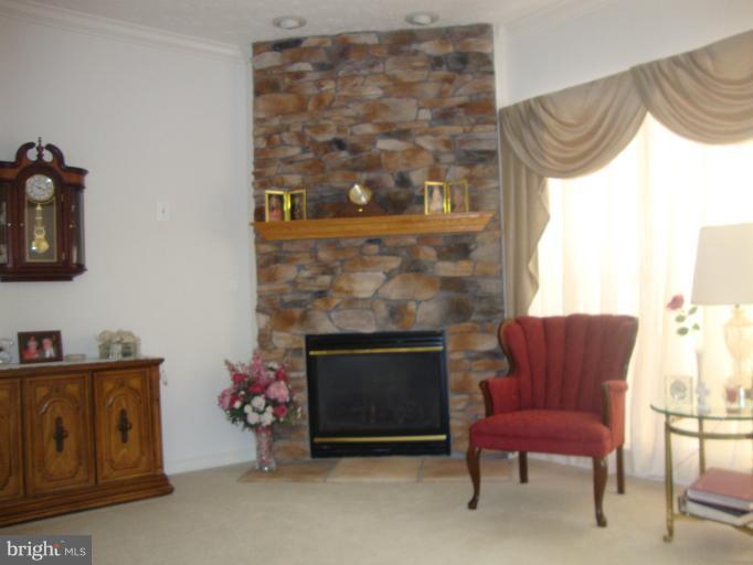 9613 Haven Farm Road, Unit E Perry Hall, MD 21128 - Photo 8 of 17 Living Room Fireplace