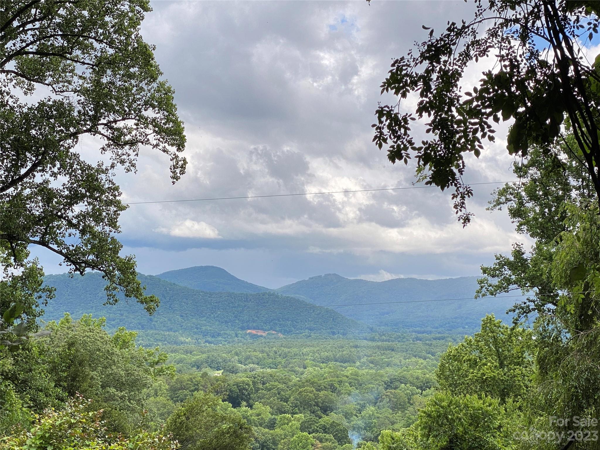 a view of a mountain in the distance in a field