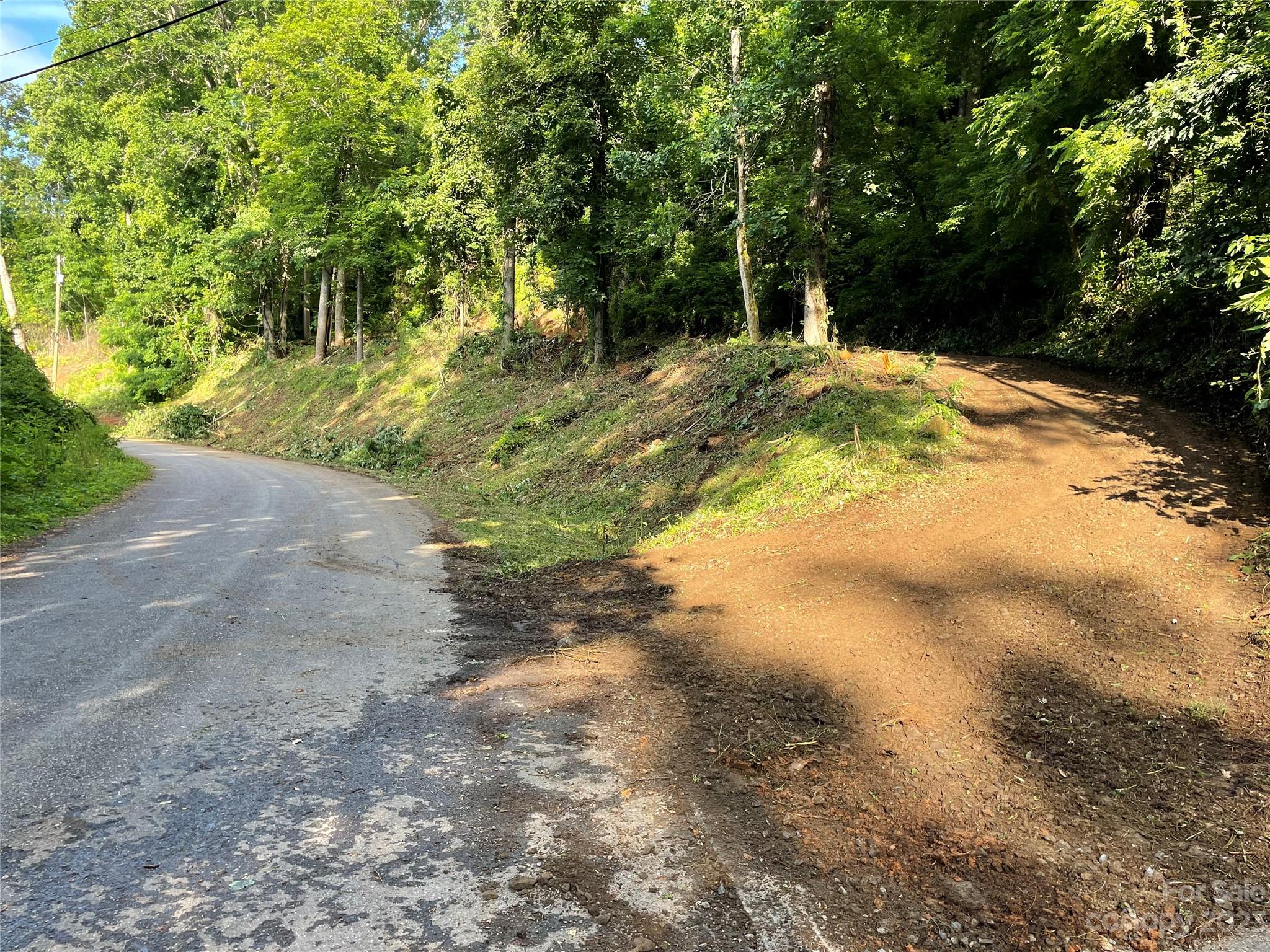 145 Laurel Road Arden, NC 28704 - Photo 3 of 7 a view of a yard with a tree