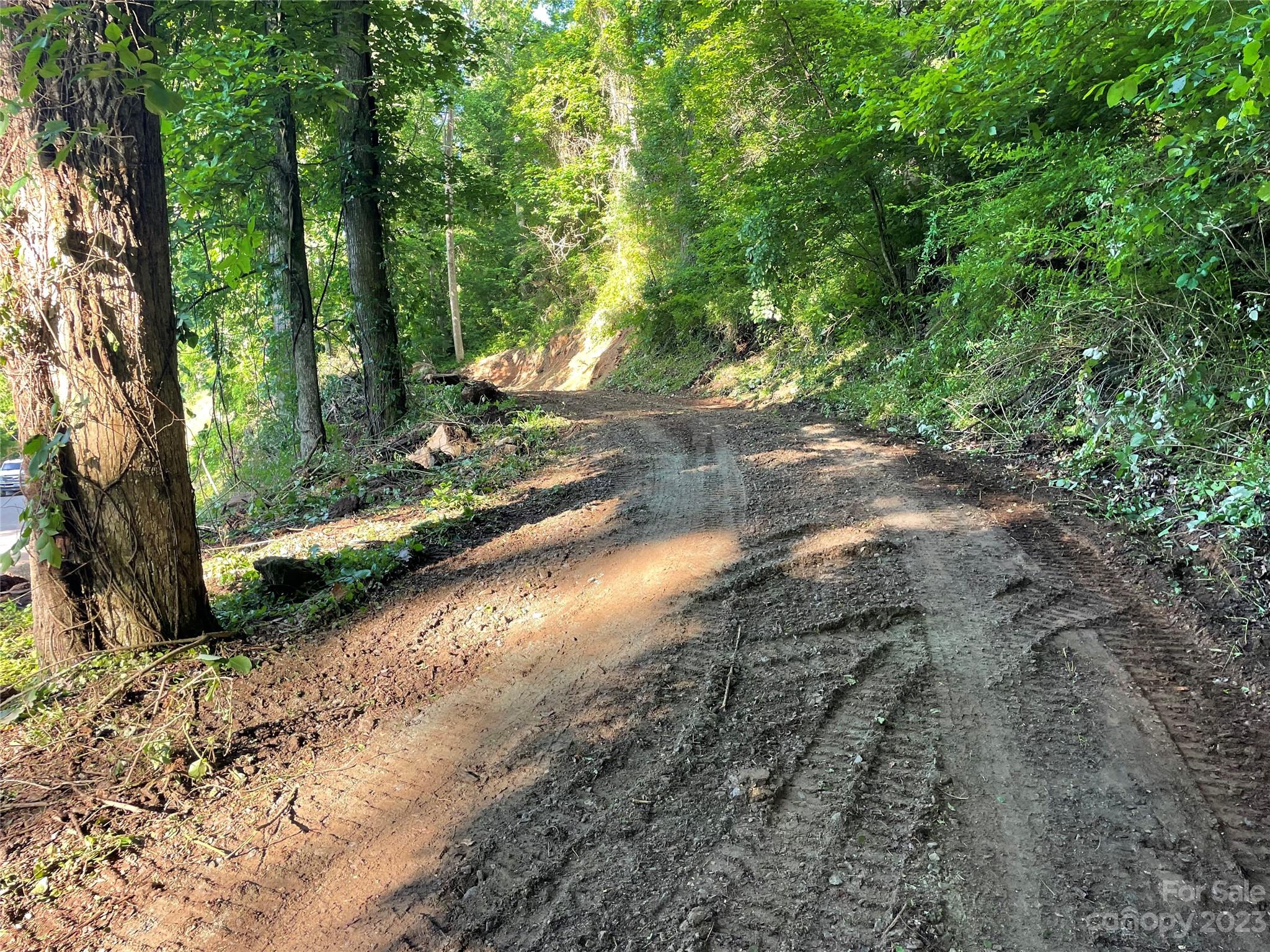 145 Laurel Road Arden, NC 28704 - Photo 4 of 7 a view of a yard with plants and large trees
