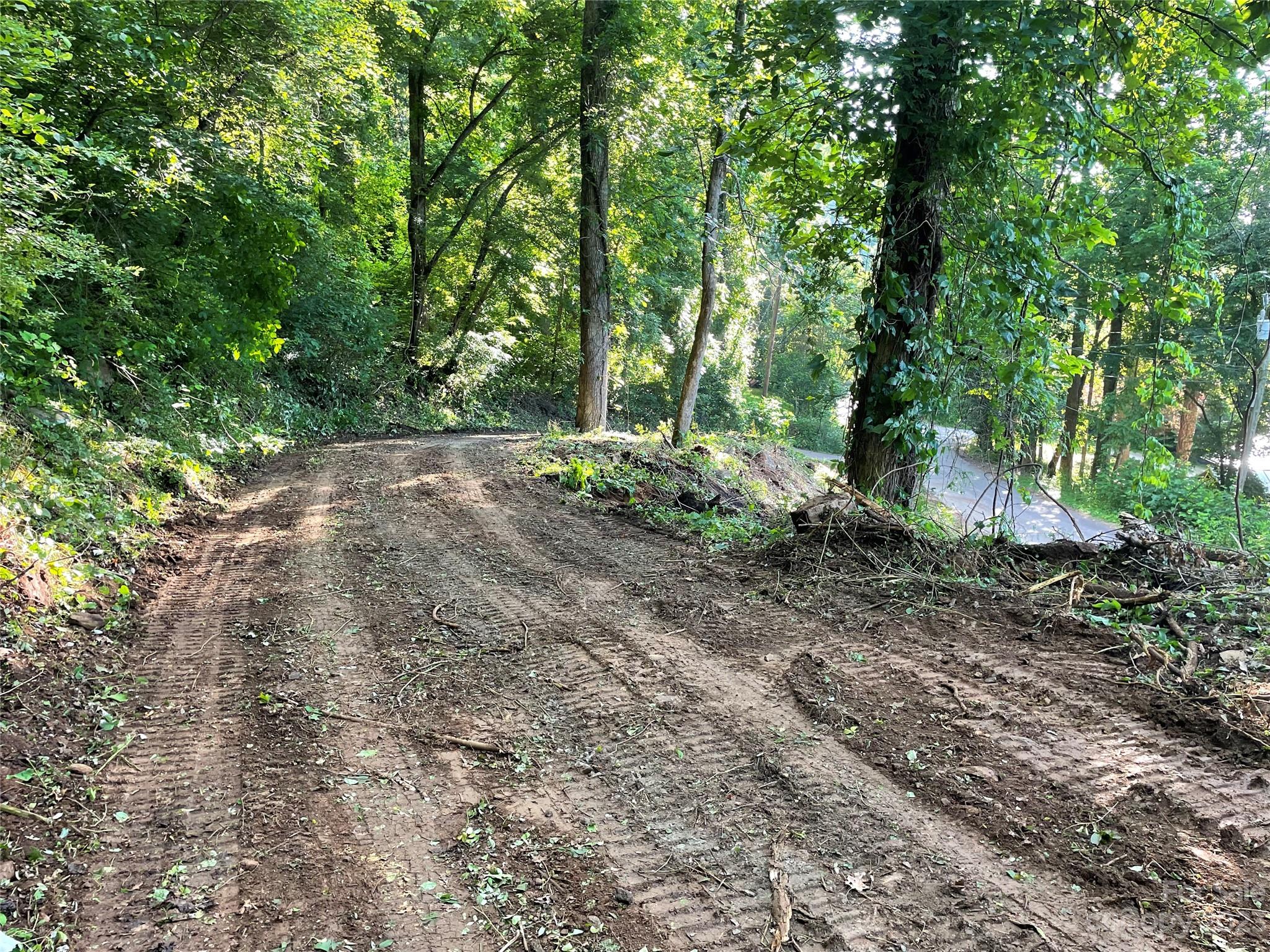 145 Laurel Road Arden, NC 28704 - Photo 5 of 7 a view of a forest filled with trees