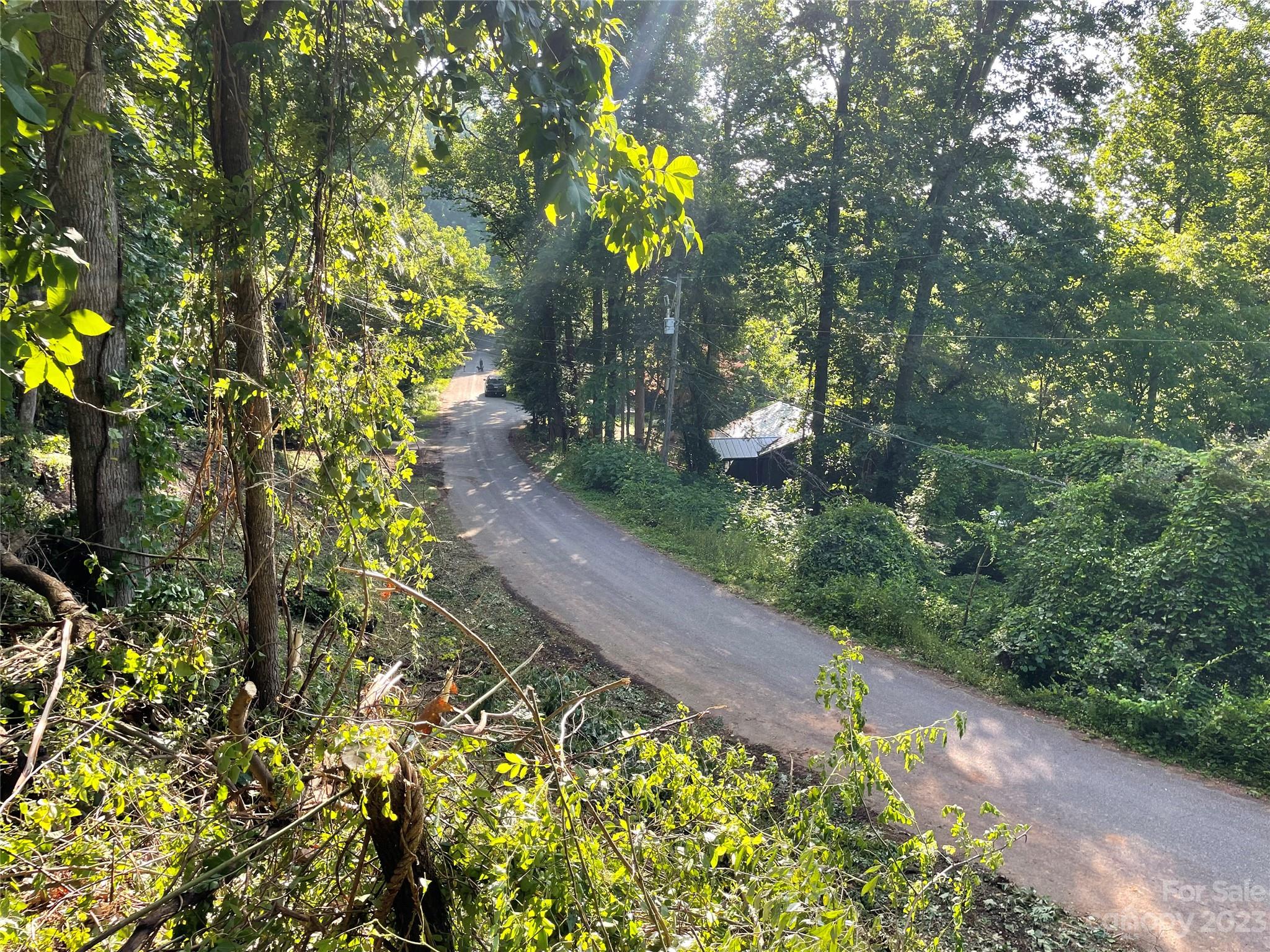 145 Laurel Road Arden, NC 28704 - Photo 6 of 7 a picture of flowers