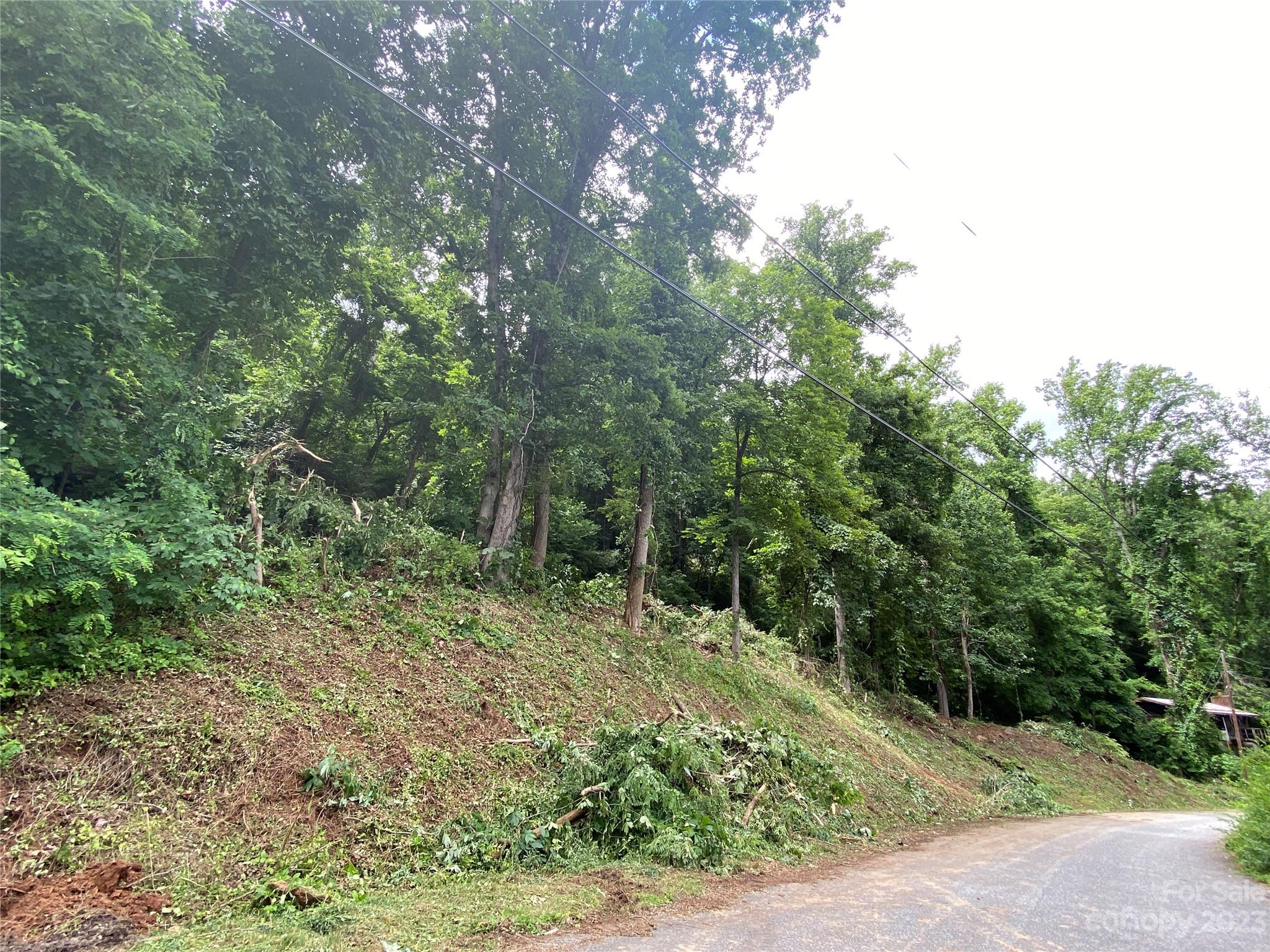145 Laurel Road Arden, NC 28704 - Photo 7 of 7 a big yard with lots of green space and plants