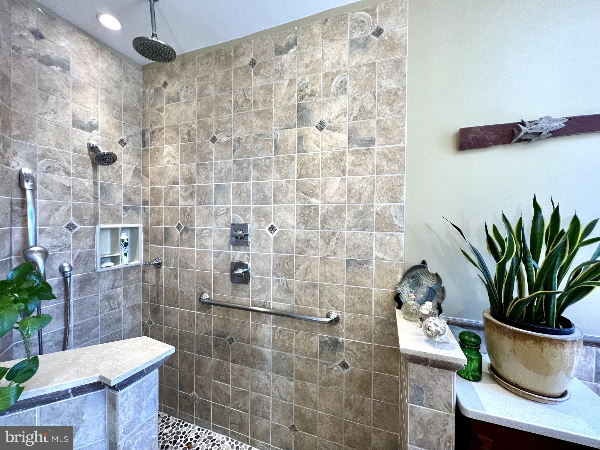 1100 E Street Northeast Washington, DC 20002 - Photo 49 of 66 The light allows REAL LIVE plants