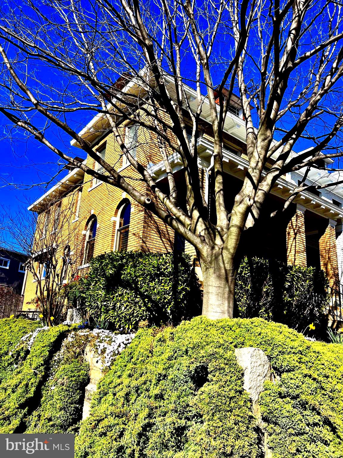 1100 E Street Northeast Washington, DC 20002 - Photo 66 of 66 Before Spring sprung, & green returned