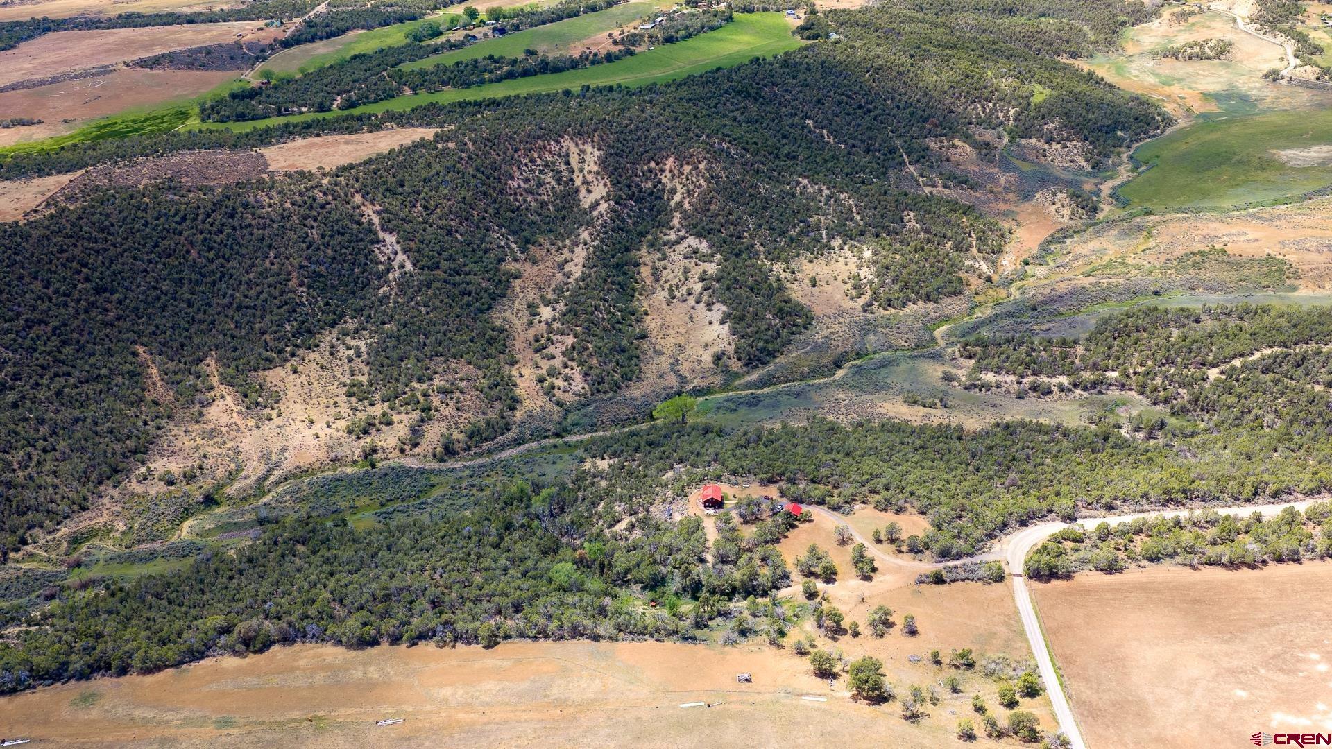 26986 Cactus Park Road Cedaredge, CO 81413 - Photo 6 of 43