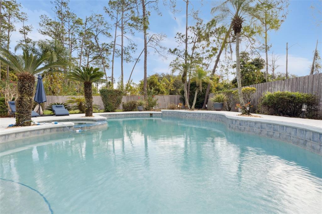 4825 Palm Tree Court Windermere, FL 34786 - Photo 36 of 41