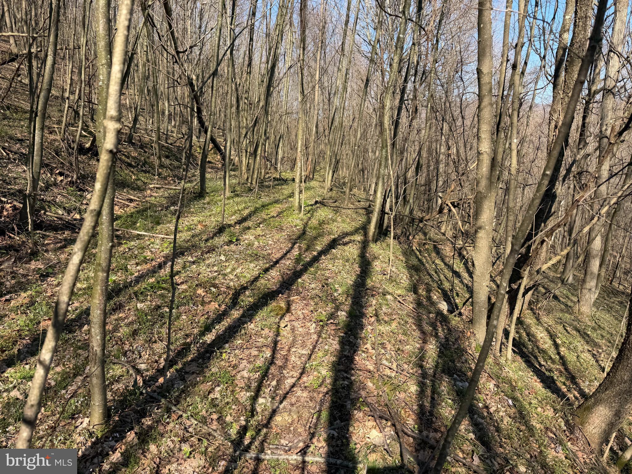 129-acres Black Hollow Road Schellsburg, PA 15559 - Photo 42 of 72