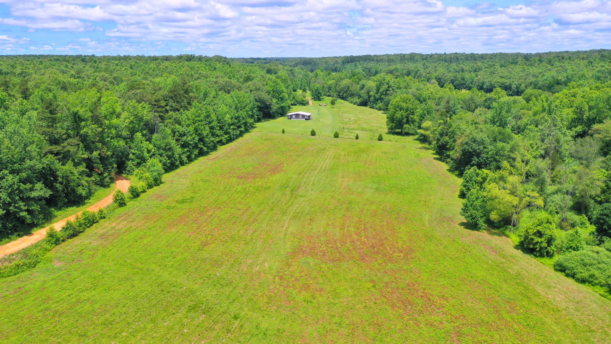 139 Shepherd Hills Road Hohenwald, TN 38462 - Photo 12 of 24 Gallery Image 12
